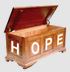 Pandora's Hope Chest